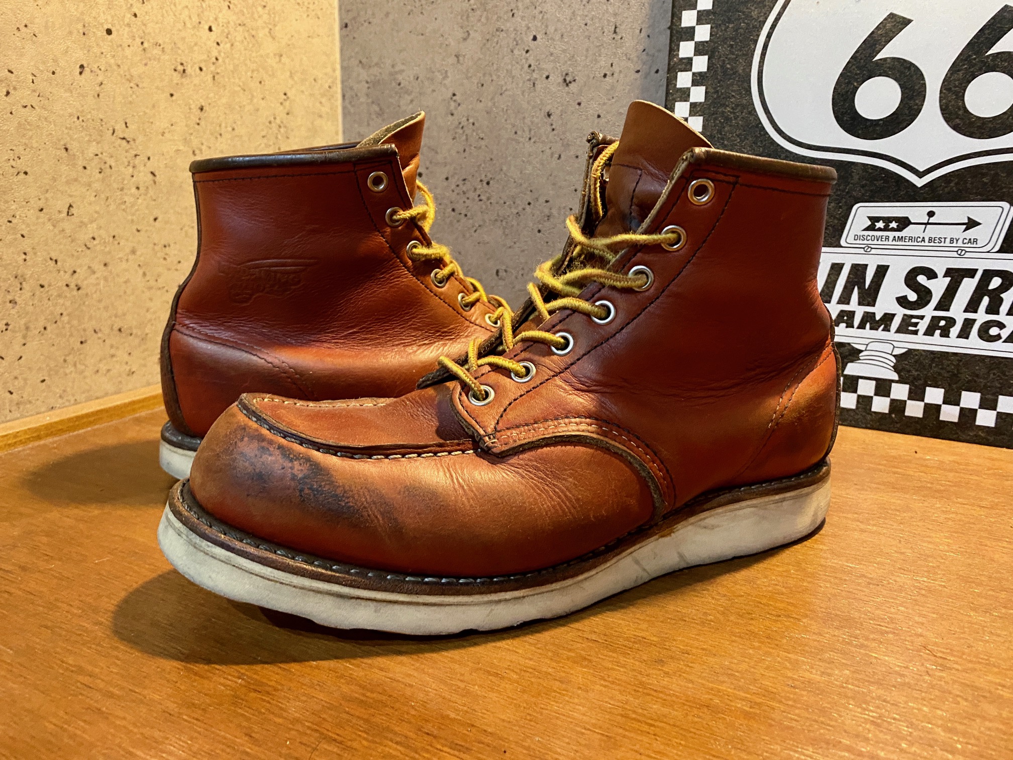 レッドウイング（REDWING）アイリッシュセッターの色について解説